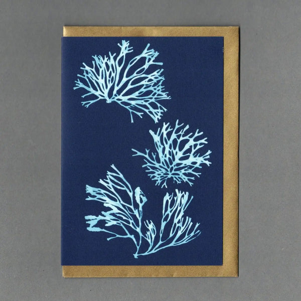A dark blue greeting card with three bunches of small seaweed print.