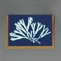 A blue handmade card with a seaweed with thicker leaves printed vertically.