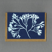 A blue handmade greeting card with a white large horizontally printed seaweed.