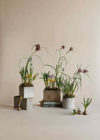 PRE-ORDER: Mother's Day Planter with Spring Bulbs