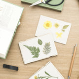 Pocket Flower Press - Forget Me Not