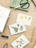 Pocket Flower Press - Forget Me Not