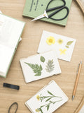 Pocket Flower Press - Forget Me Not